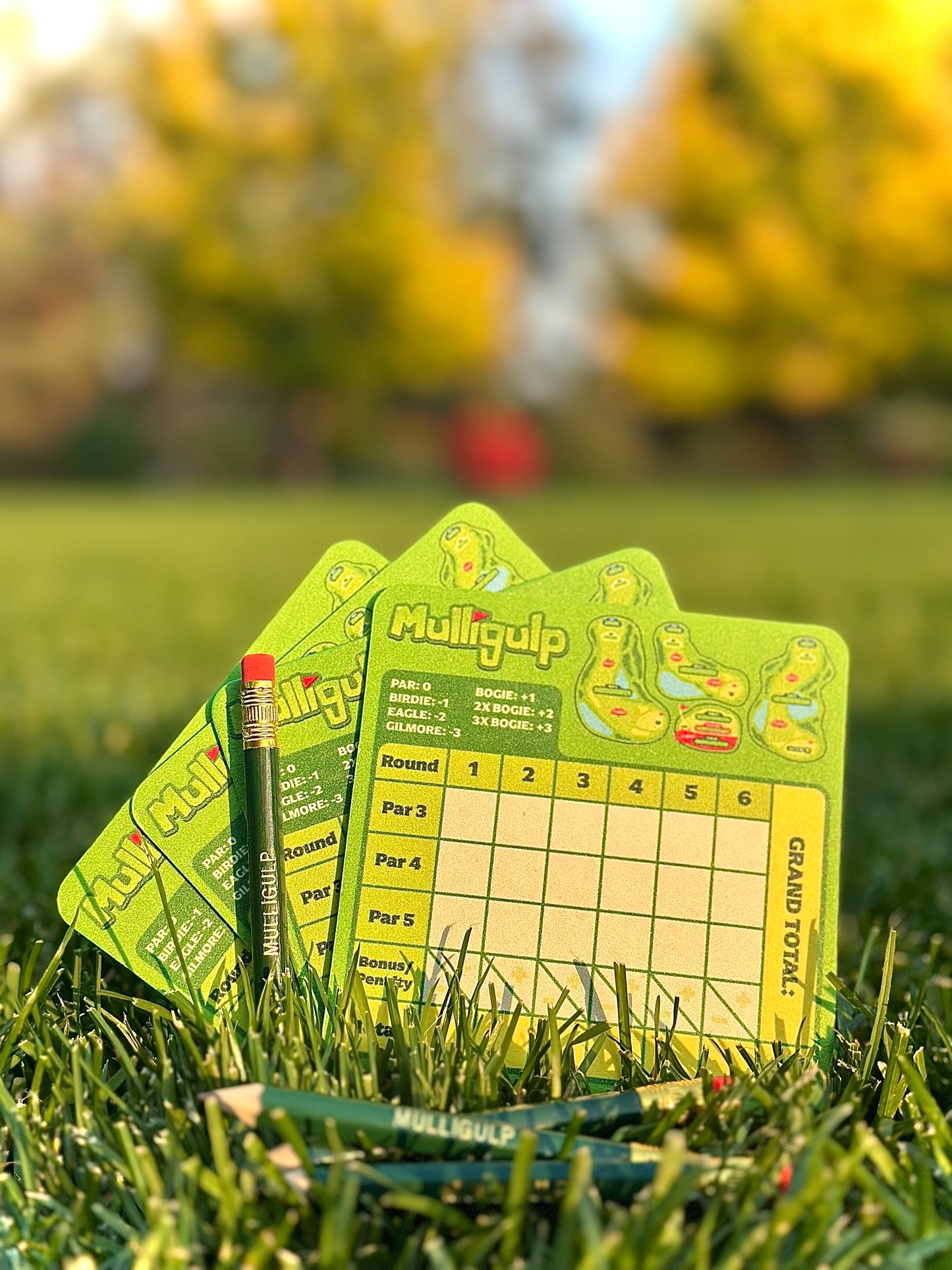 Coaster Scorecards - Set of 16
